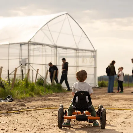 Les Dortoirs Des Joualles